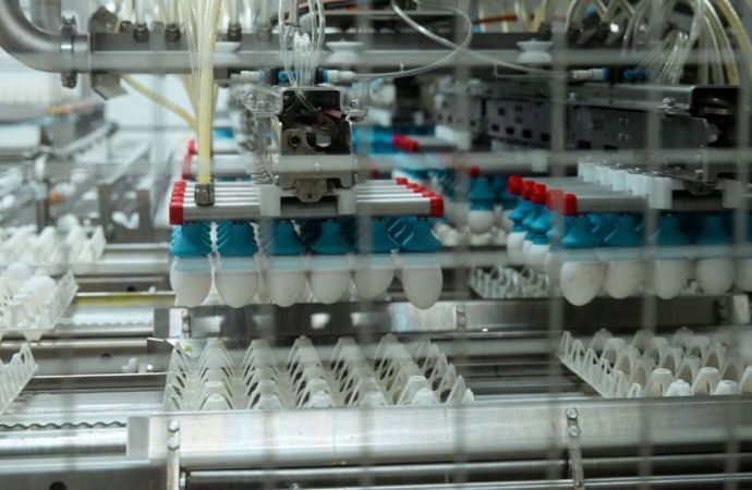 Naturovos amplia automação para acompanhar crescimento do consumo de ovos